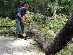 Best Storm Damage Tree Cleanup  in Garden City, MO